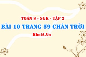 Bài 10 trang 59 Toán 8 Chân trời sáng tạo Tập 2